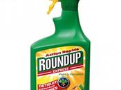 Pesticides RoundUp Express est-il toxique