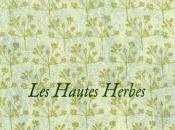 brin texte Hubert Voignier Hautes Herbes (Cheyne, 2012) Antonio Werli
