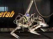 DARPA présente robot ultra rapide Cheetah