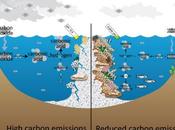 Acidification: jamais depuis millions d’années