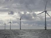 Technip crée entité dédiée l’éolien marin France