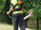 Zéro pesticide dans villes villages, c'est possible