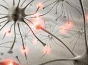 PARKINSON: Certaines statines pourraient bien réduire risque Archives Neurology