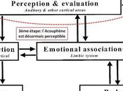 Perception Évaluation l´acouphène