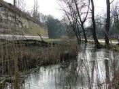 André l'Esplanade, long Deûle.