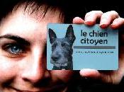 Pour ceux connaissent encore cette association.