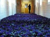 28.000 plantes installées Centre santé mentale Massachusetts: bloom