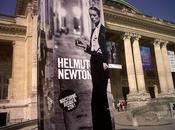 L'exposition Helmut Newton Grand Palais approuvé