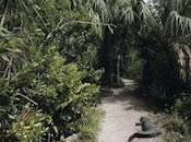 Parc national Everglades