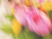 Fonds d'écran Avril 2012 (avec sans calendrier)