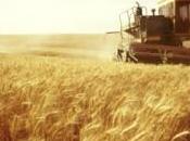 Russie deuxième exportateur mondial 2011-2012