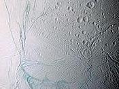 Saturne: Encelade pourrait abriter formes