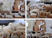 Côté collections,les moutons
