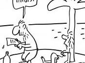 Chronique harcèlement fiscal Québec