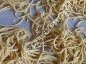 Spaghettis Frais