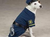 Invasion canine policière