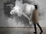 Photo métallique Seung Park