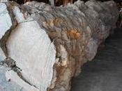 Artisanat Sankamphaëng