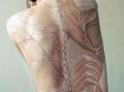 maux appellent musculation