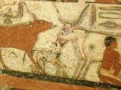 Salle vitrine peintures mastaba metchetchi nouveau question bovins