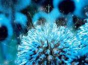 Tatiana Plakhova présente végétaux fabuleux