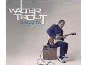 Walter Trout Blues Modern Daze
