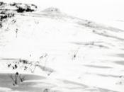 Newclear Waves Where Stands Still