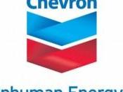 Indésirable Chevron
