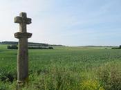 Angevillers, marche dans belle nature