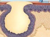 presque fait verser larme...