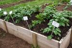 Cultiver jardin: pour santé