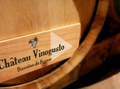 Chateau Vinogusto guide investit dans domaine viticole