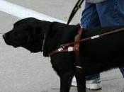 L'AIDE... domicile crie l'APF