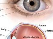 FIV: risque accru tumeur l’œil pour l’enfant Human Reproduction