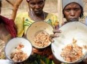 Sahel est-il condamné crises alimentaires
