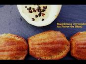 Madeleines Citronnées Poivre Népal