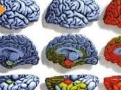 ALZHEIMER: préserve régions critiques cerveau Journal Alzheimer’s Disease