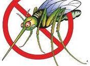 solutions contre moustiques 100% naturelles