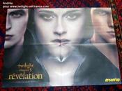 SCAN Reportage poster Twilight dans Dream'up