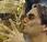 Federer, l'excellence sans limites