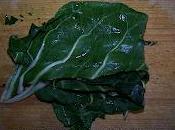 Comment émincer finement rapidement grandes feuilles blettes, choux autres herbes