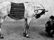 Rencontres d’Arles 2012