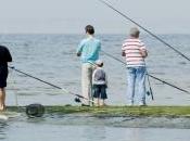 ministère l'Écologie invite pêcheurs loisir pratiquer "une pêche éco-responsable durable"