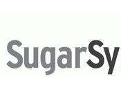 SugarSync, excellent service stockage ligne