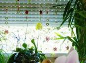 conseils pour aider plantes pendant chaleur