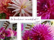 dimanche, juillet 2012