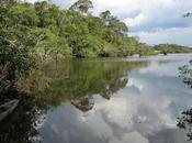 Cuyabeno exemple pour l’avenir l’Amazonie