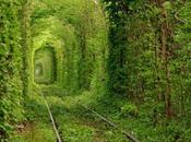 Instant paradisiaque Ukraine tunnel l’amour