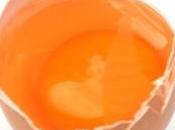 ALLERGIES l’OEUF: poudre œufs pour vaincre allergie England Journal Medicine