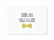 Faire part nouveau venu